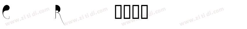 Chase Regular字体转换
